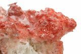 Vibrant-Red Cinnabar with Quartz - Cocineras Mine #319983-1